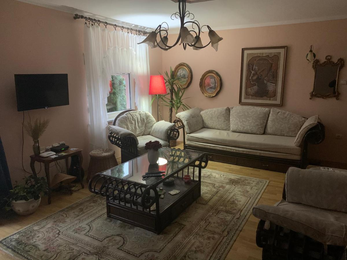 Apartmani Stojanovic Sremska Kamenica Exterior foto