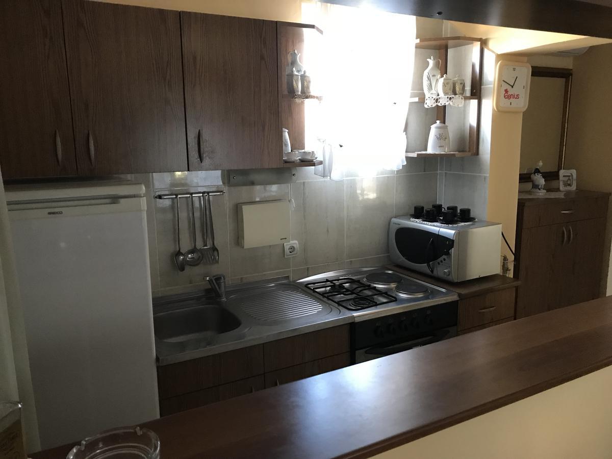 Apartmani Stojanovic Sremska Kamenica Exterior foto