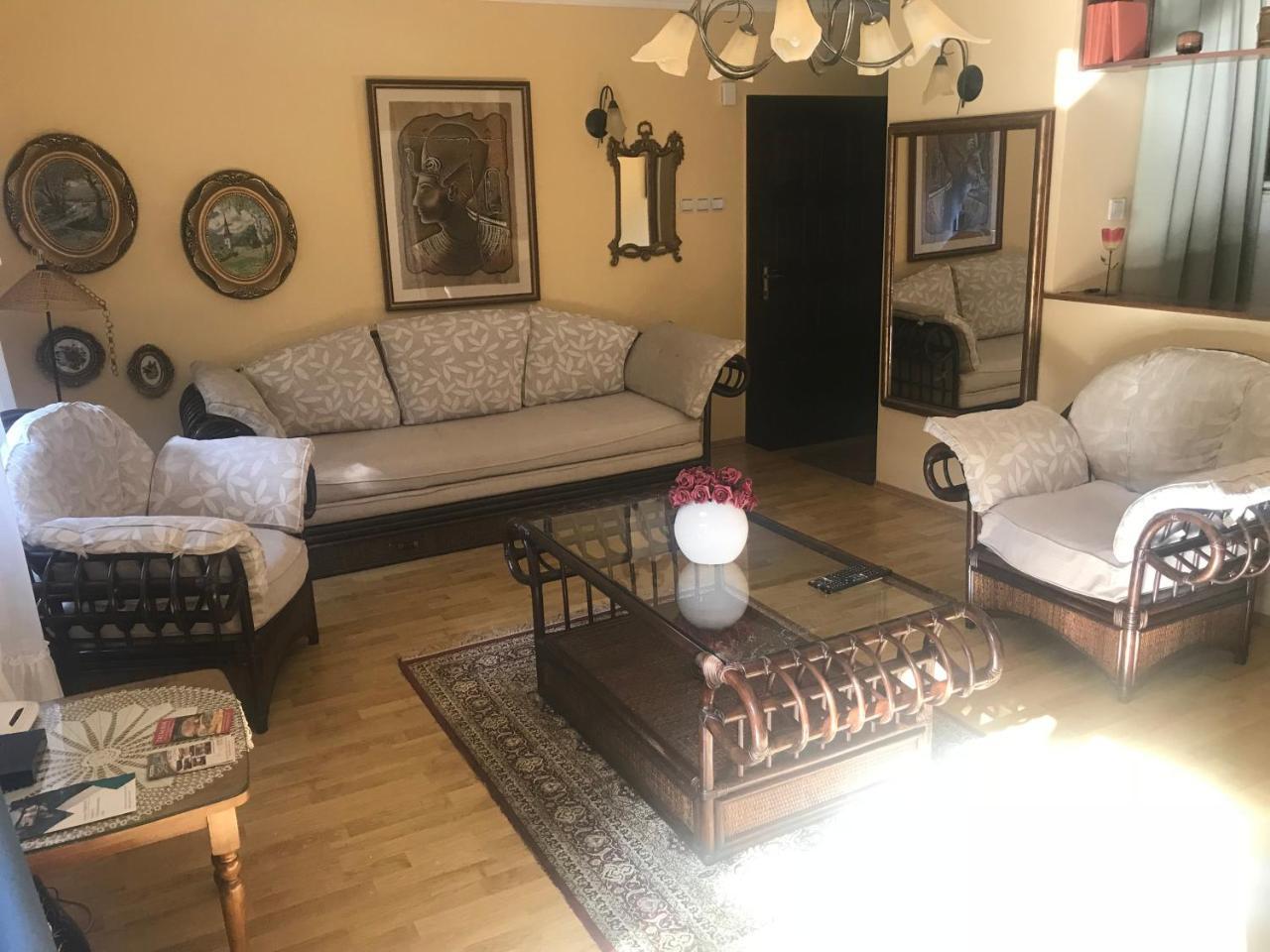 Apartmani Stojanovic Sremska Kamenica Exterior foto